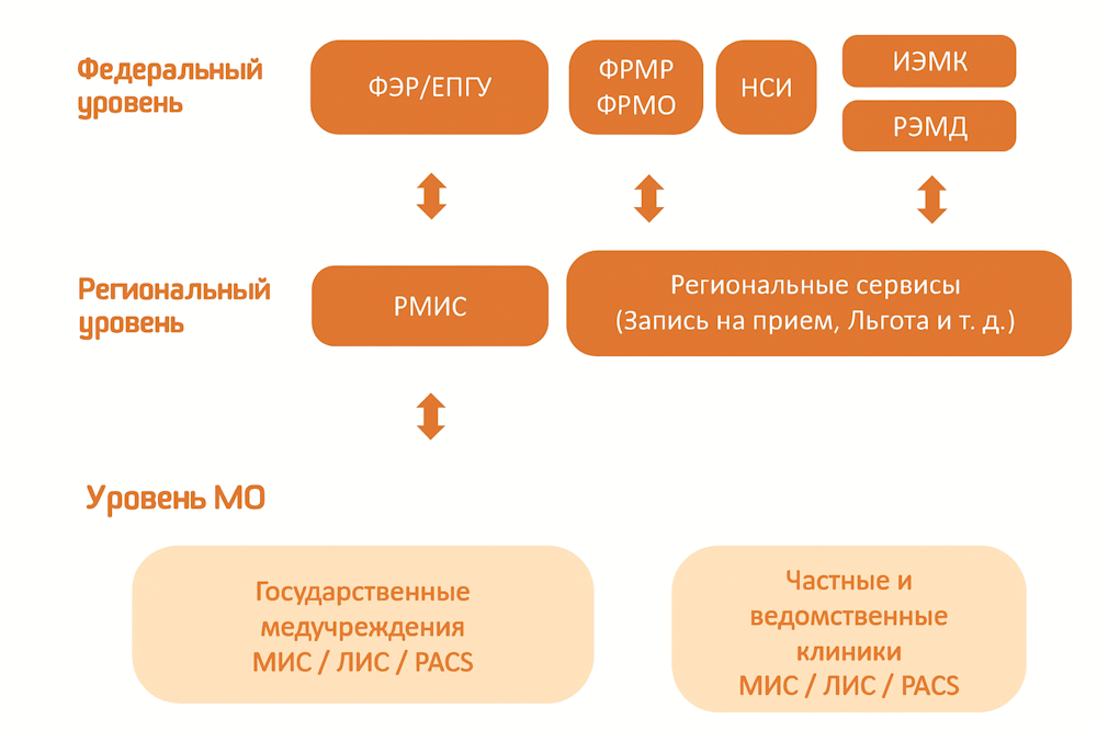 ЕГИСЗ в медицине: что это такое, зачем нужна и как работает система